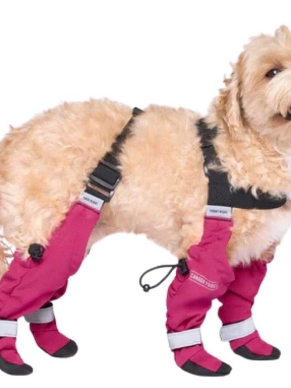 Canada Pooch Pink Waterproof Dog Booties with Adjustable Straps